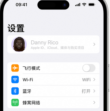 长坡镇appleID维修服务iPhone设置中Apple ID显示为灰色无法使用