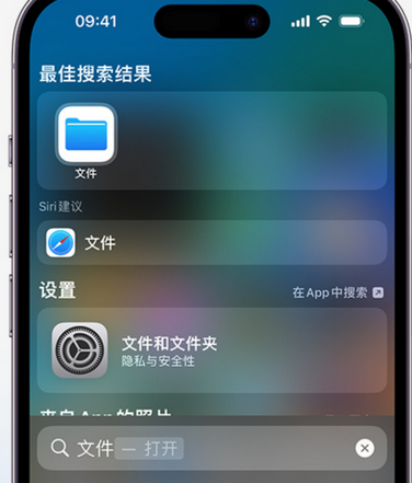 长坡镇apple维修中心分享iPhone文件应用中存储和找到下载文件 