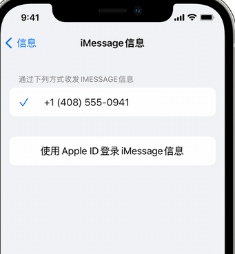 长坡镇apple维修iPhone上无法正常发送iMessage信息 