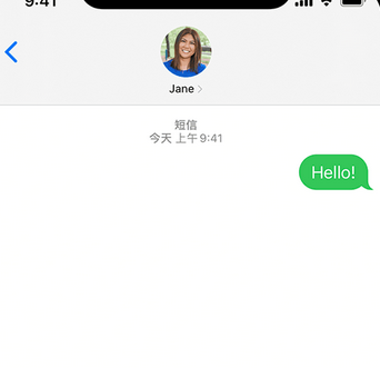 长坡镇apple维修iPhone上无法正常发送iMessage信息