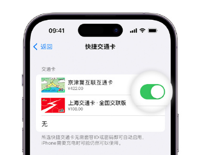 长坡镇apple维修点分享iPhone上更换Apple Pay快捷交通卡手绘卡面 