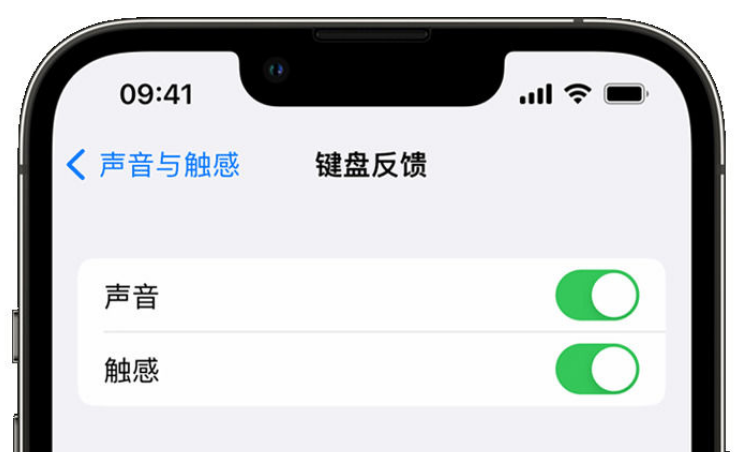 长坡镇苹果手机维修分享iPhone 14触感键盘使用方法 