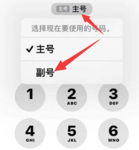 长坡镇苹果14维修店分享iPhone 14 Pro Max使用副卡打电话的方法 