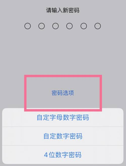 长坡镇苹果14维修分享iPhone 14plus设置密码的方法 