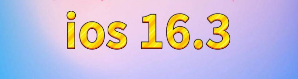 长坡镇苹果服务网点分享苹果iOS16.3升级反馈汇总 