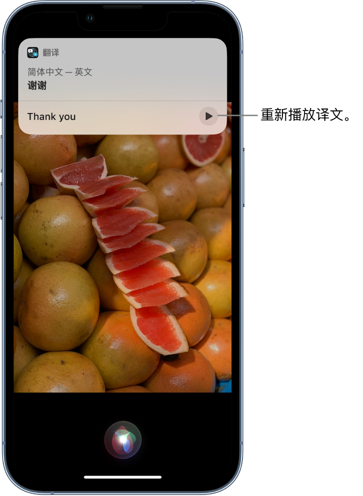 长坡镇苹果14维修分享 iPhone 14 机型中使用 Siri：了解 Siri 能帮你做什么 