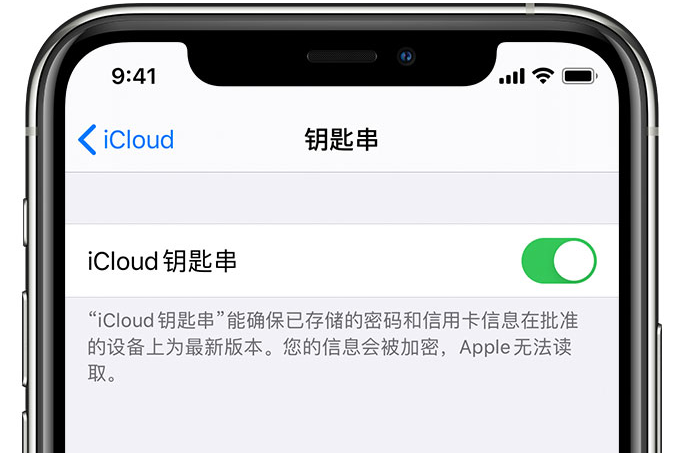 长坡镇苹果手机维修分享在 iPhone 上开启 iCloud 钥匙串之后会储存哪些信息 